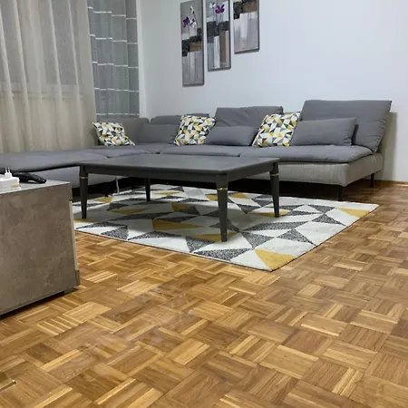 Dani Zenica
